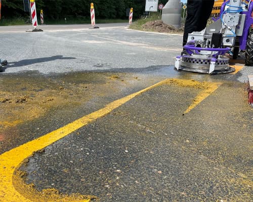 Professional Line Removal Process